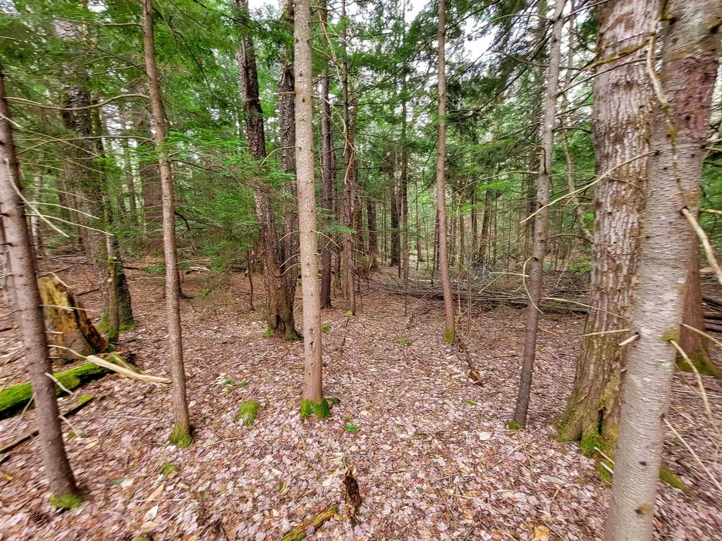 1124 Chapel Hill Road Whitingham VT 05361
