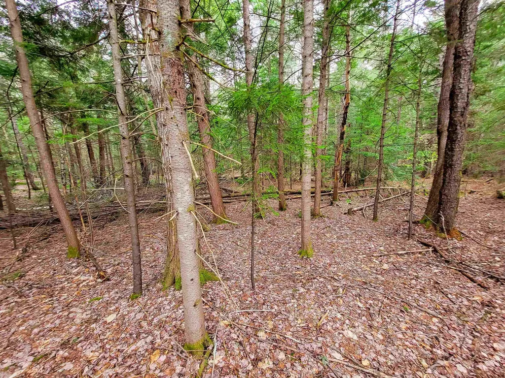1124 Chapel Hill Road Whitingham VT 05361