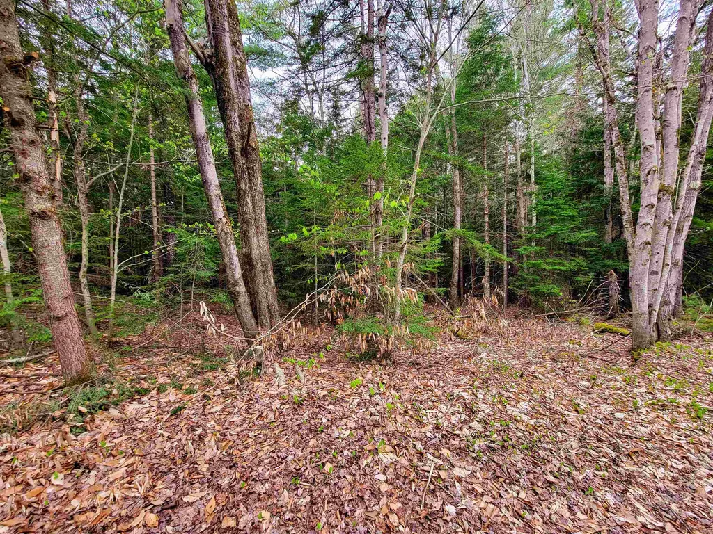 1124 Chapel Hill Road Whitingham VT 05361