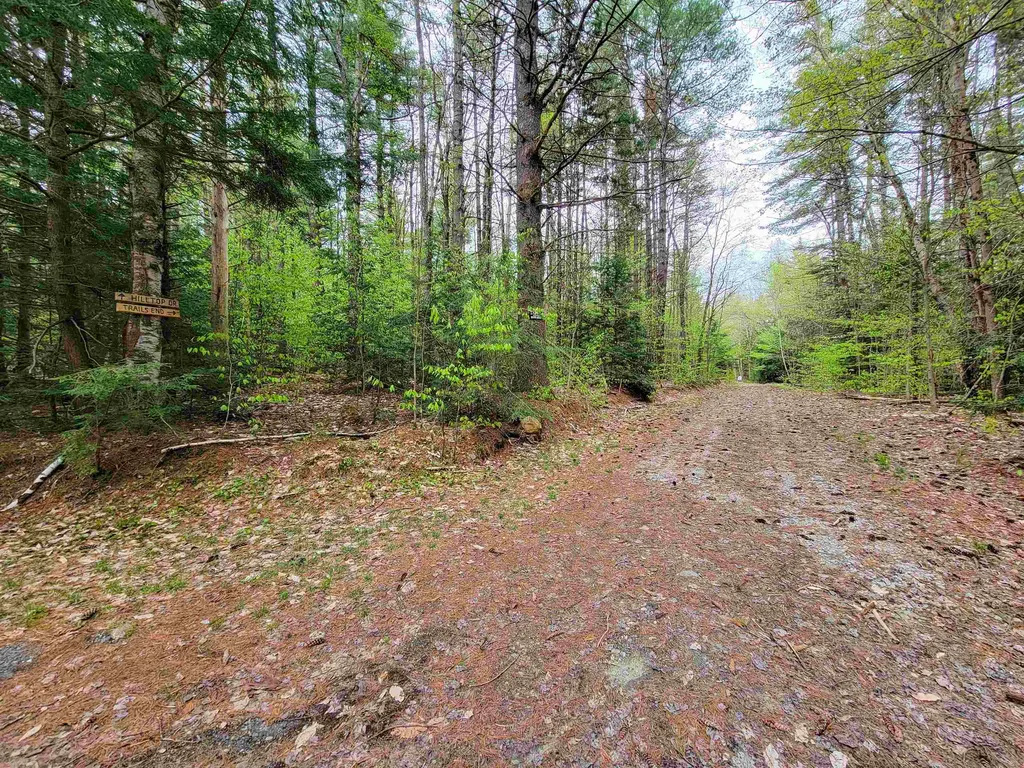 1124 Chapel Hill Road Whitingham VT 05361
