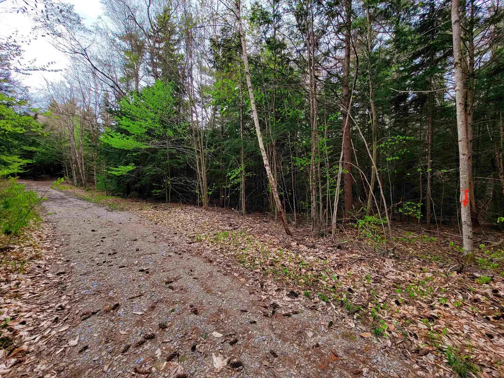 1124 Chapel Hill Road Whitingham VT 05361