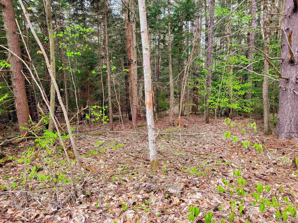 1124 Chapel Hill Road Whitingham VT 05361