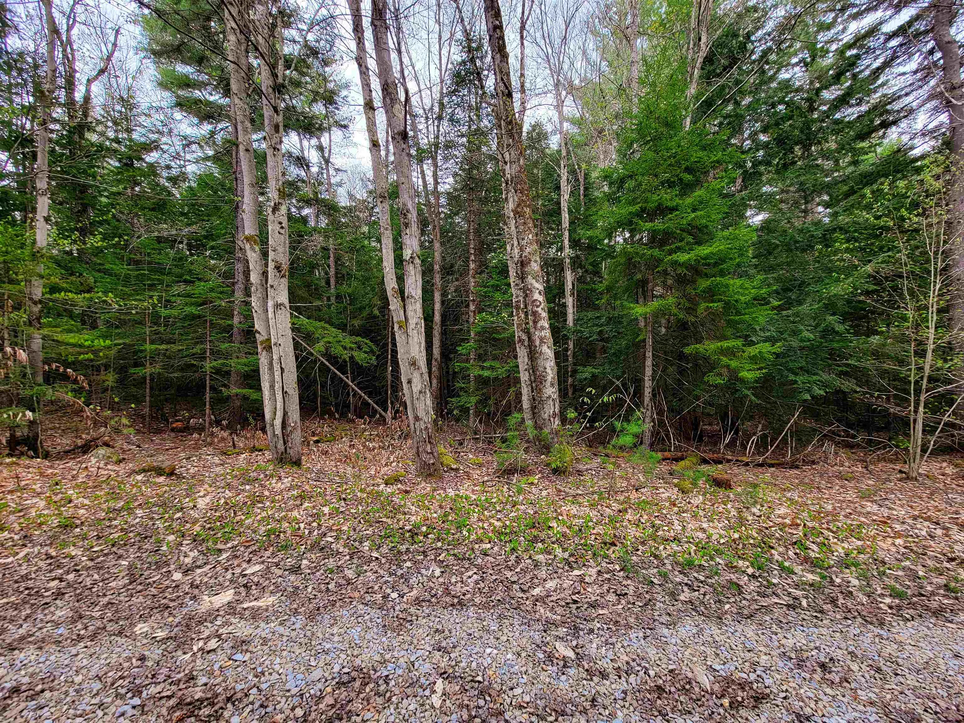 1124 Chapel Hill Road Whitingham VT 05361