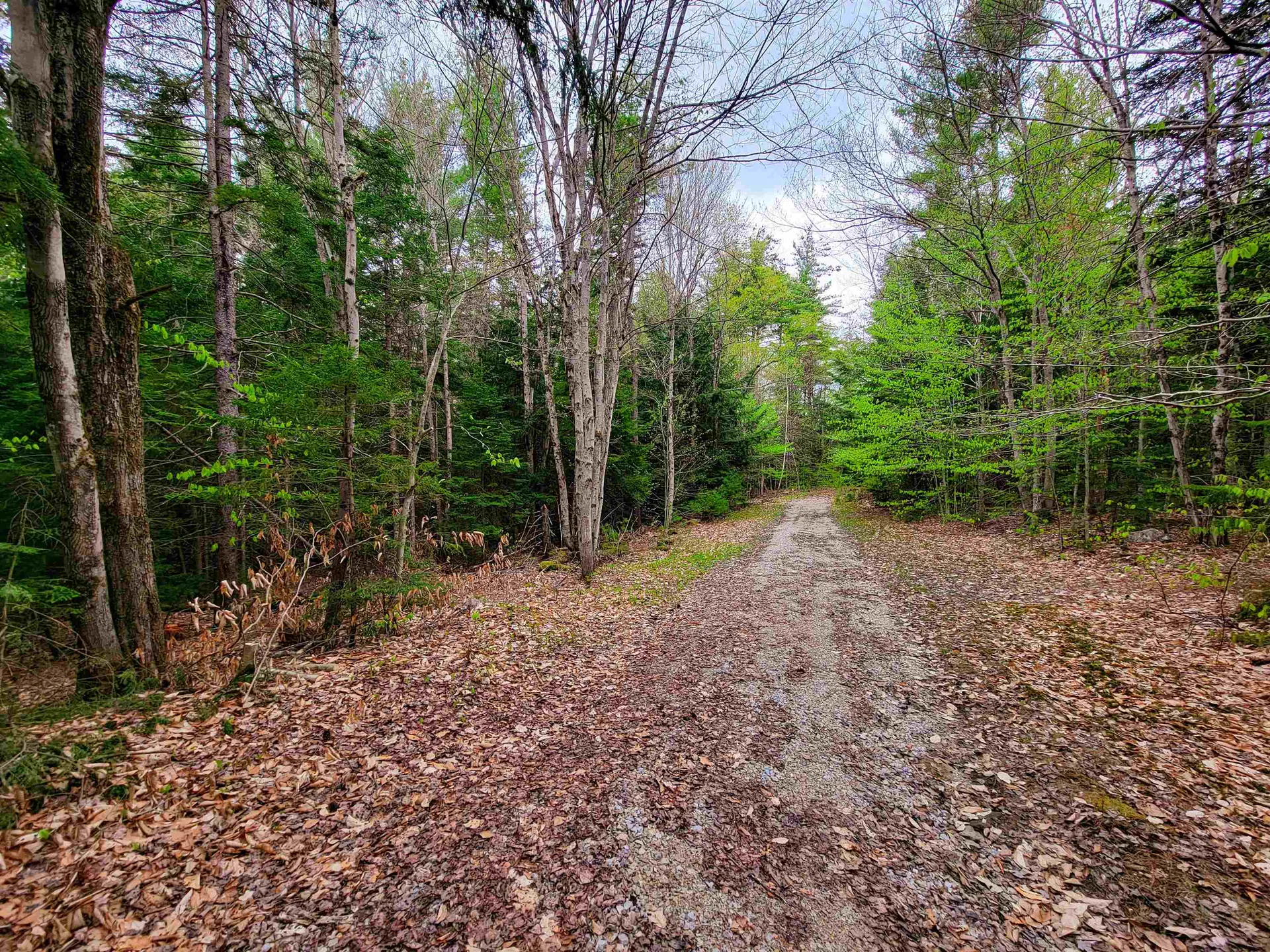 1124 Chapel Hill Road Whitingham VT 05361