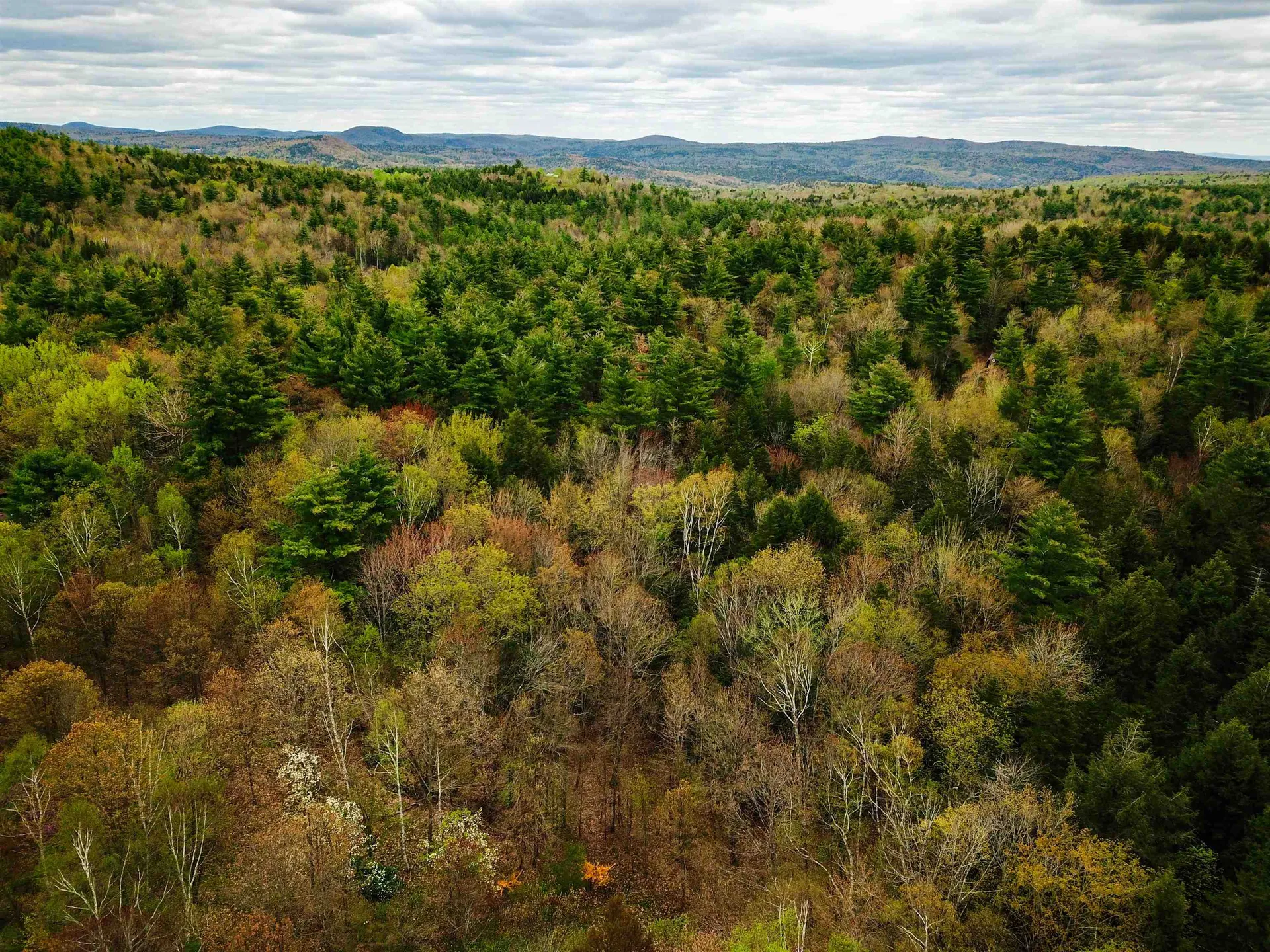 1124 Chapel Hill Road Whitingham VT 05361