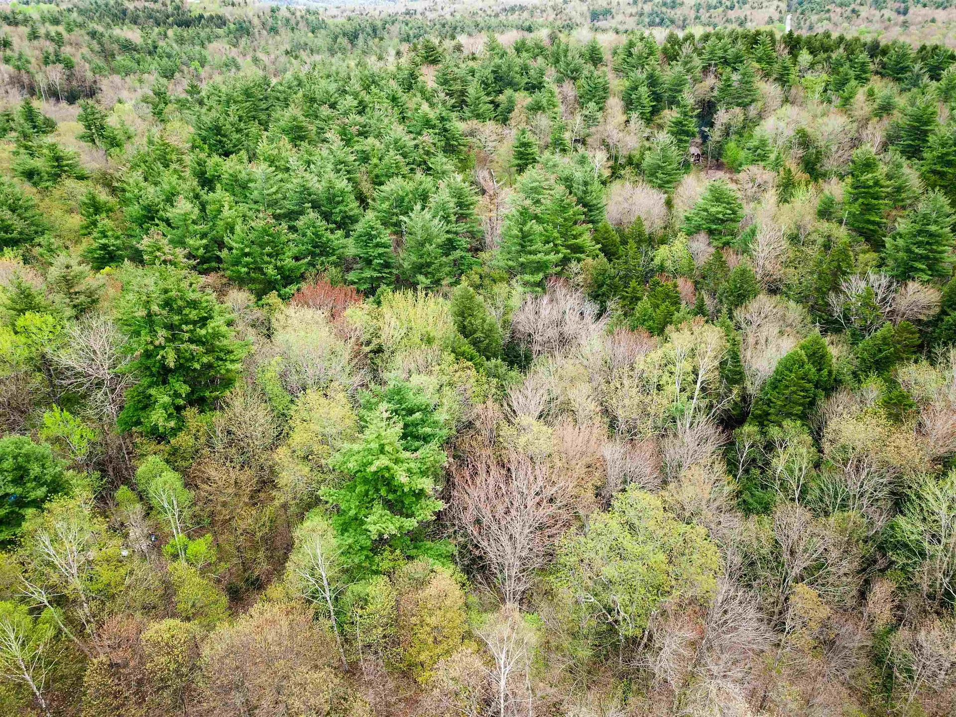 1124 Chapel Hill Road Whitingham VT 05361