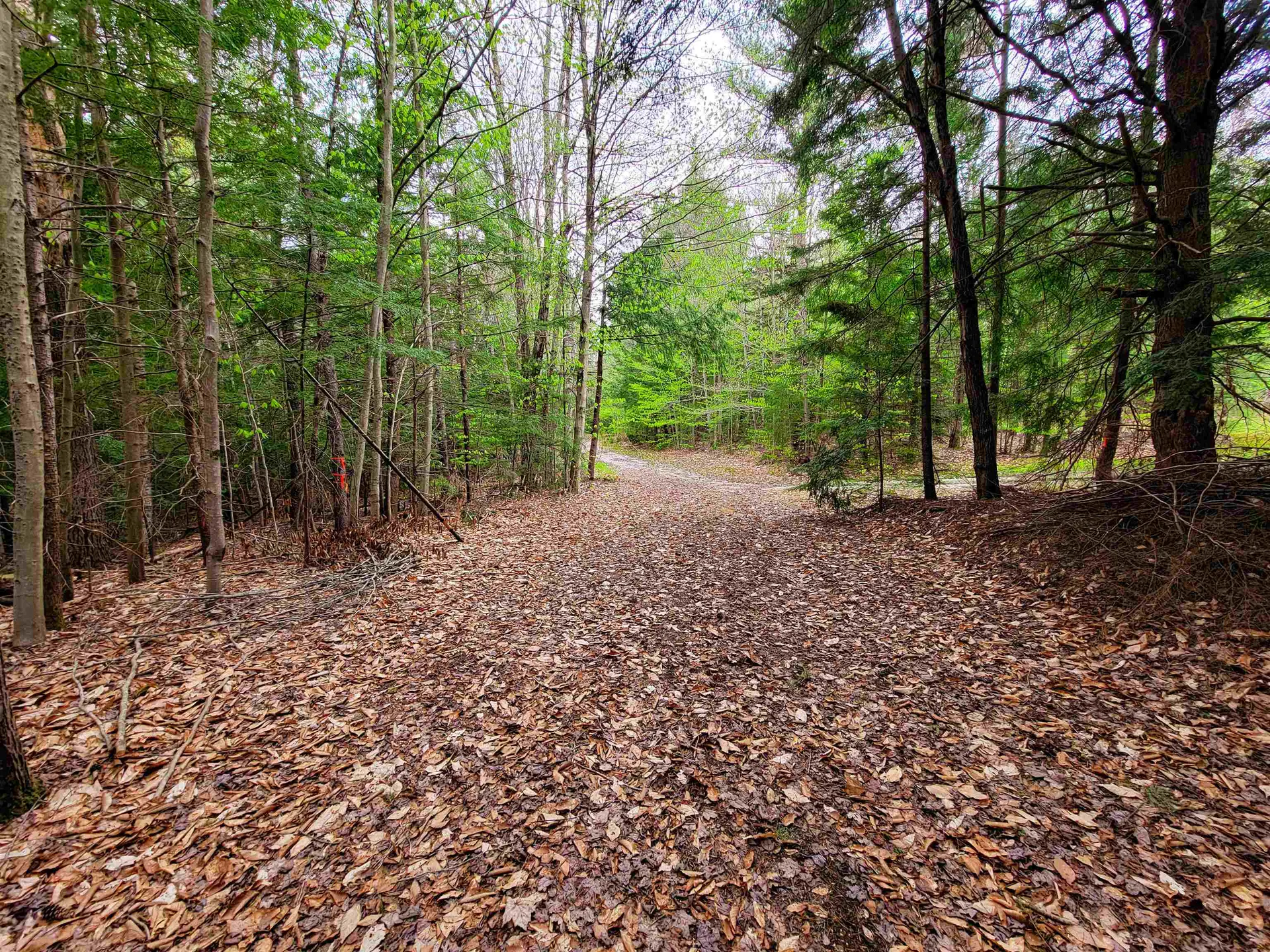 1124 Chapel Hill Road Whitingham VT 05361