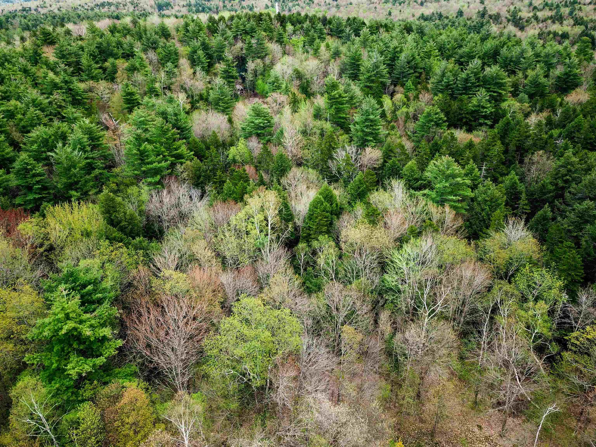 1124 Chapel Hill Road Whitingham VT 05361