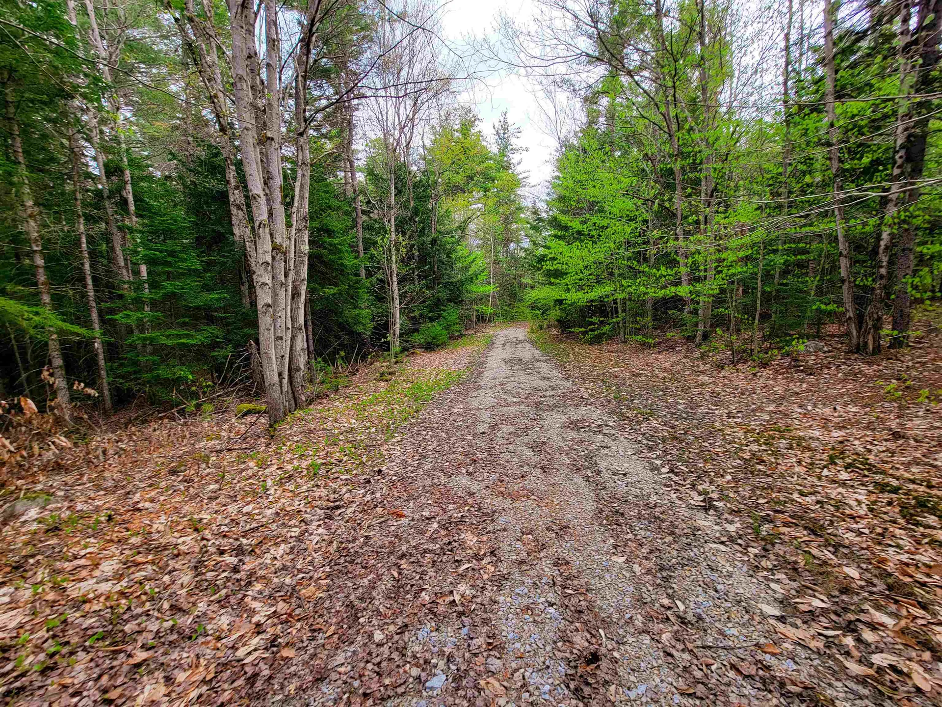 1124 Chapel Hill Road Whitingham VT 05361