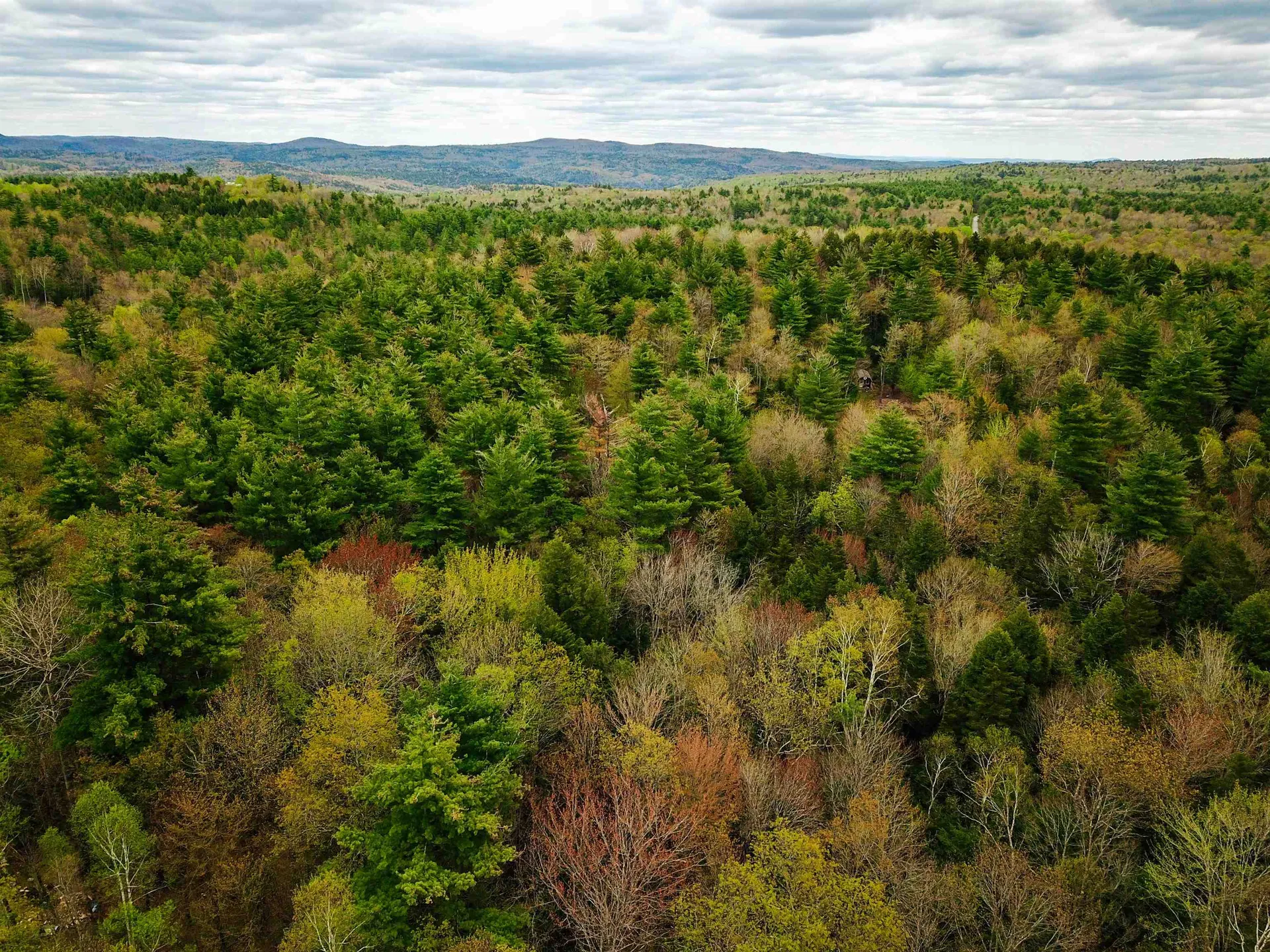 1124 Chapel Hill Road Whitingham VT 05361