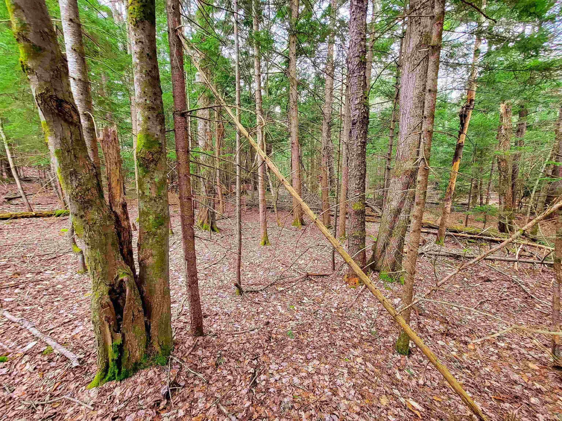 1124 Chapel Hill Road Whitingham VT 05361
