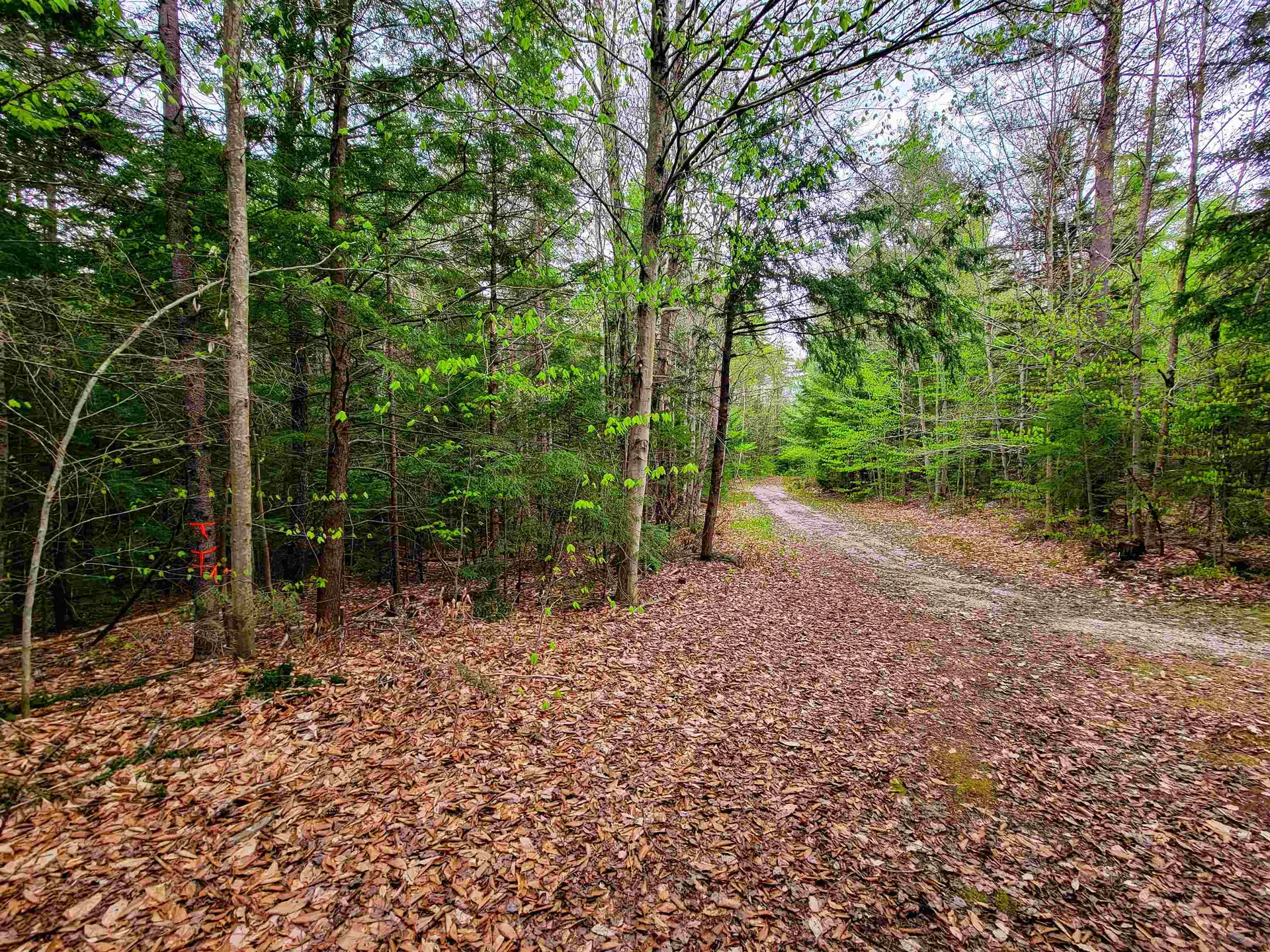 1124 Chapel Hill Road Whitingham VT 05361