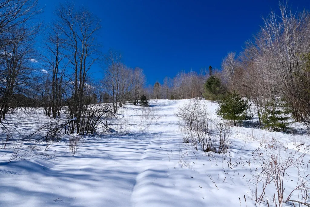 0 Route 155 Mount Holly VT 05758