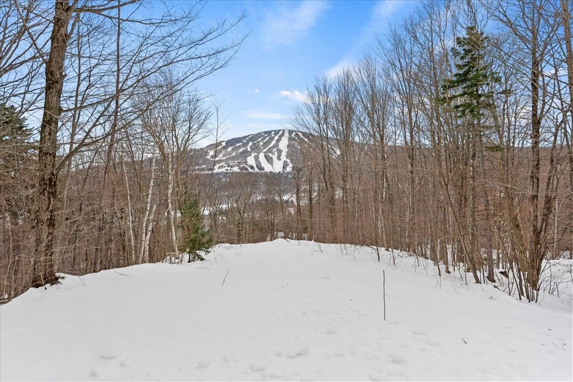 14 Old Ridge Road Winhall VT 05340