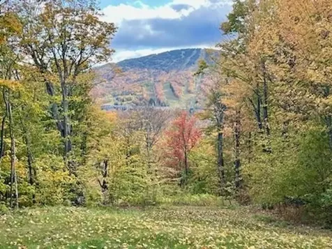 14 Old Ridge Road Winhall VT 05340