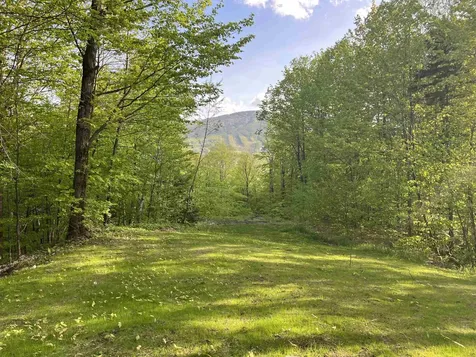 14 Old Ridge Road Winhall VT 05340