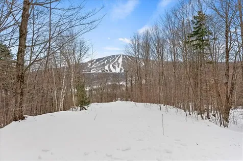 14 Old Ridge Road Winhall VT 05340