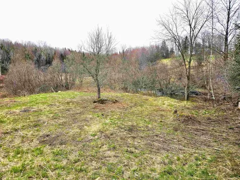 0 Buzzell Road Newport Town VT 05857