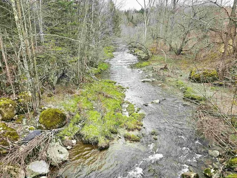 0 Buzzell Road Newport Town VT 05857