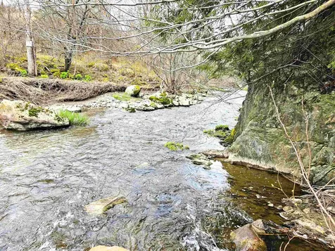 0 Buzzell Road Newport Town VT 05857