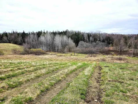 0 Buzzell Road Newport Town VT 05857