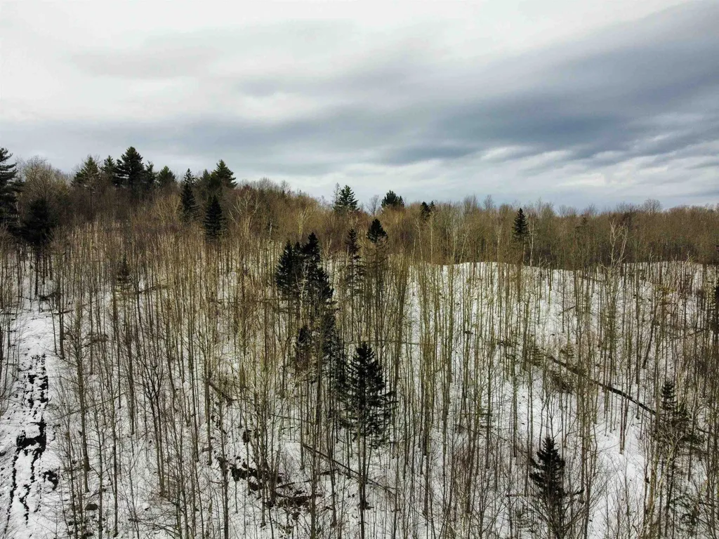2290 Richardson Road Corinth VT 05039-4420