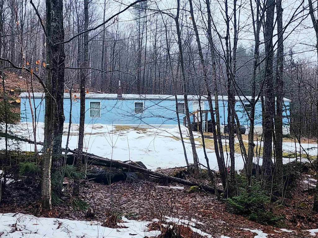 2290 Richardson Road Corinth VT 05039-4420