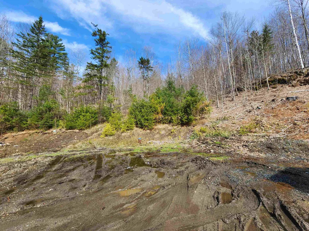 2290 Richardson Road Corinth VT 05039-4420
