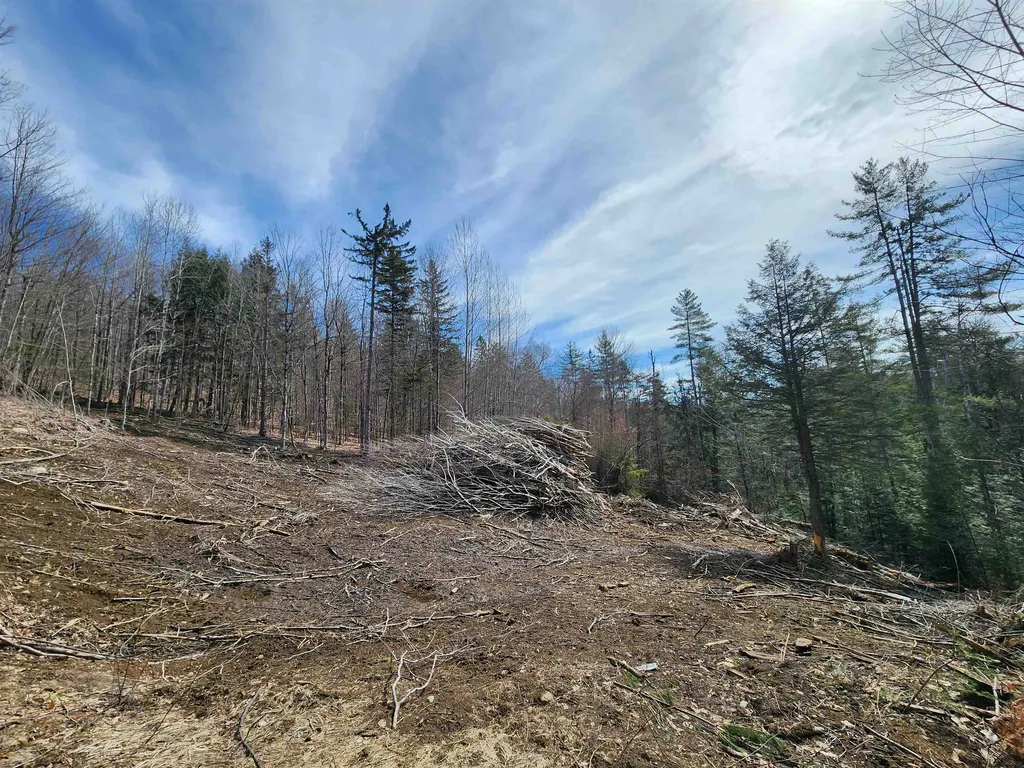2290 Richardson Road Corinth VT 05039-4420