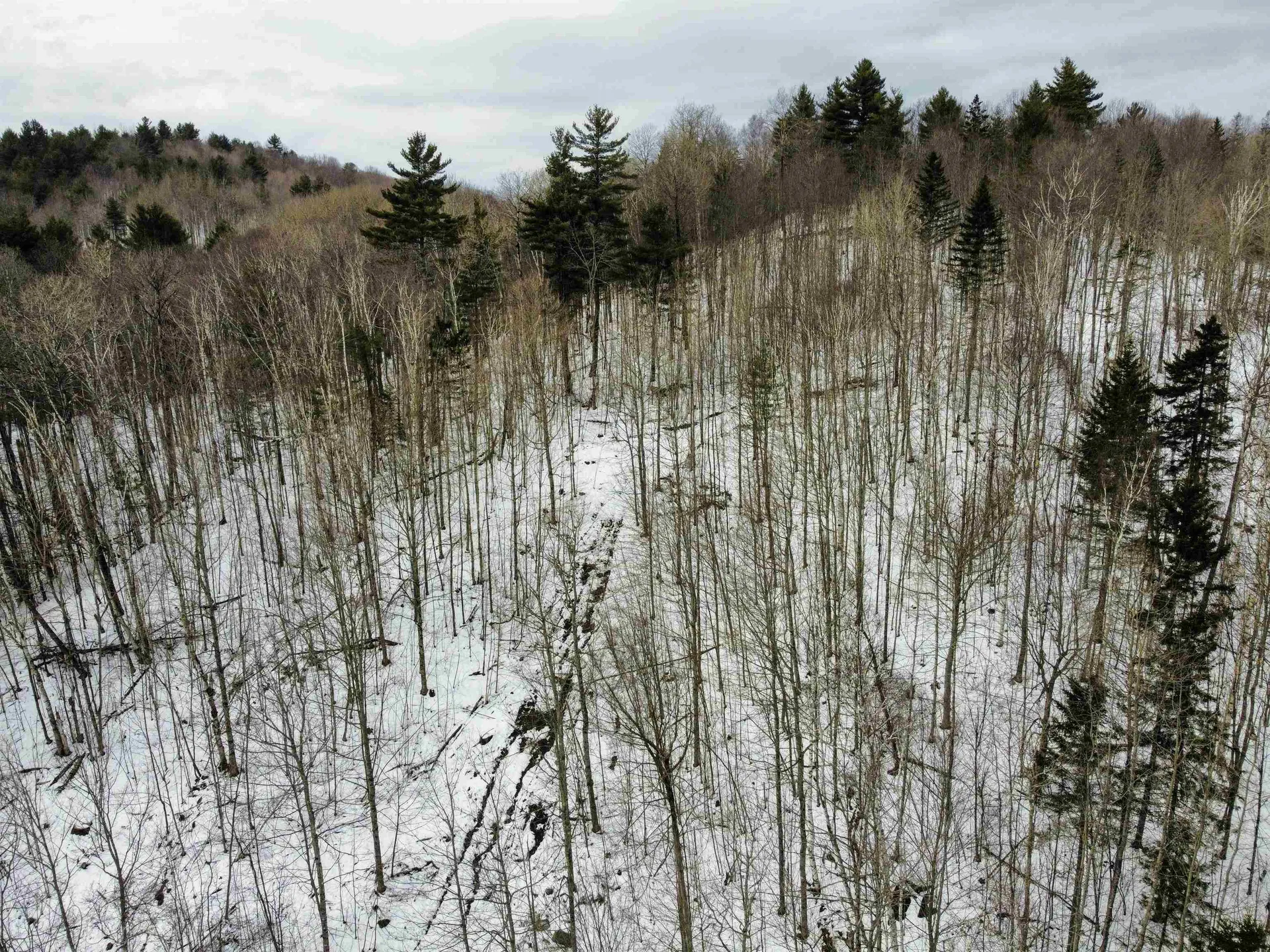 2290 Richardson Road Corinth VT 05039-4420