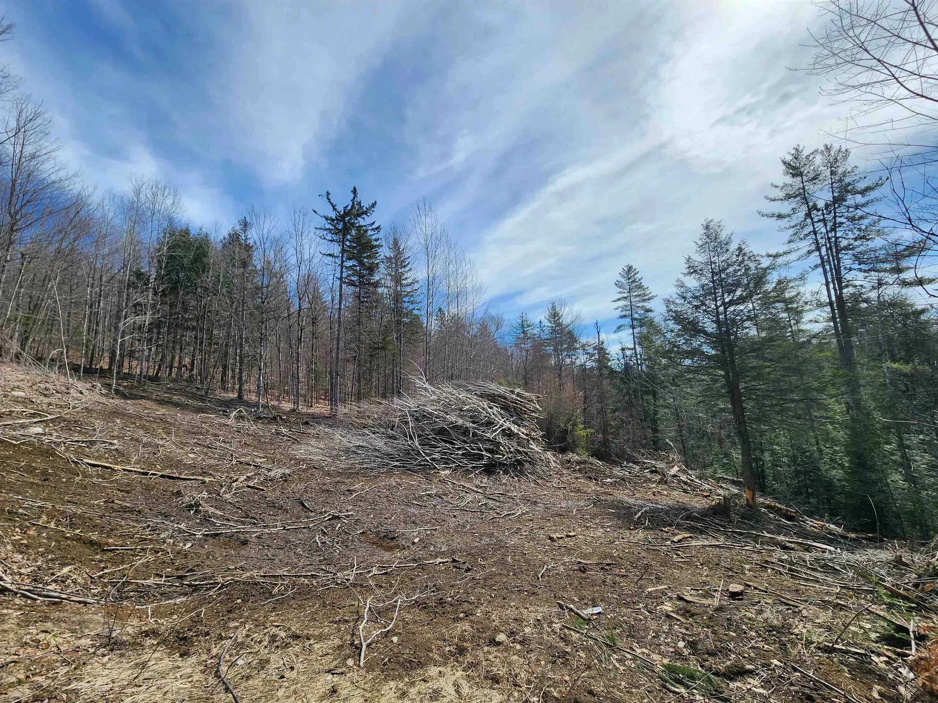 2290 Richardson Road Corinth VT 05039-4420
