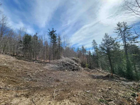 2290 Richardson Road Corinth VT 05039-4420
