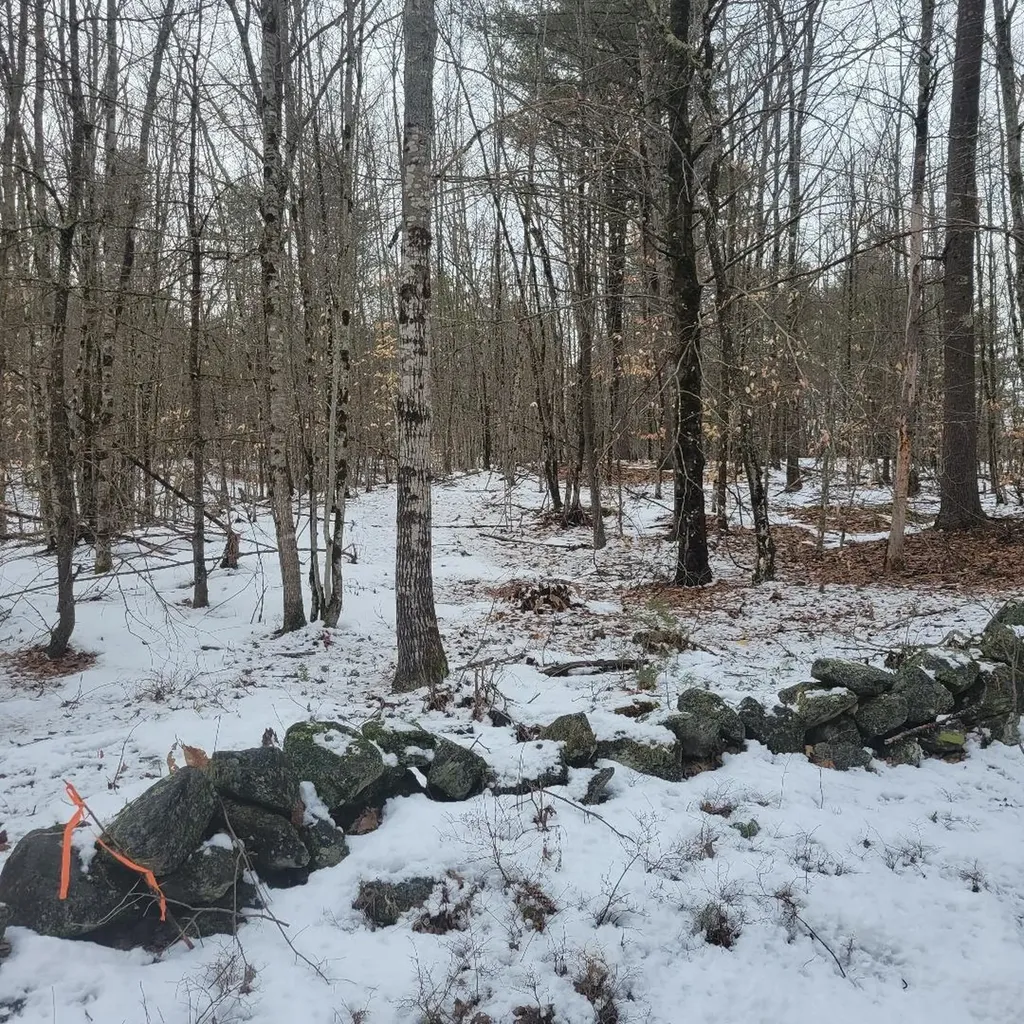 0 Munroe Road Epsom, NH Real Estate Property MLS 4988012