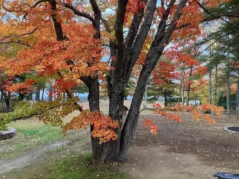 13 Fogg Road Milton NH 03851