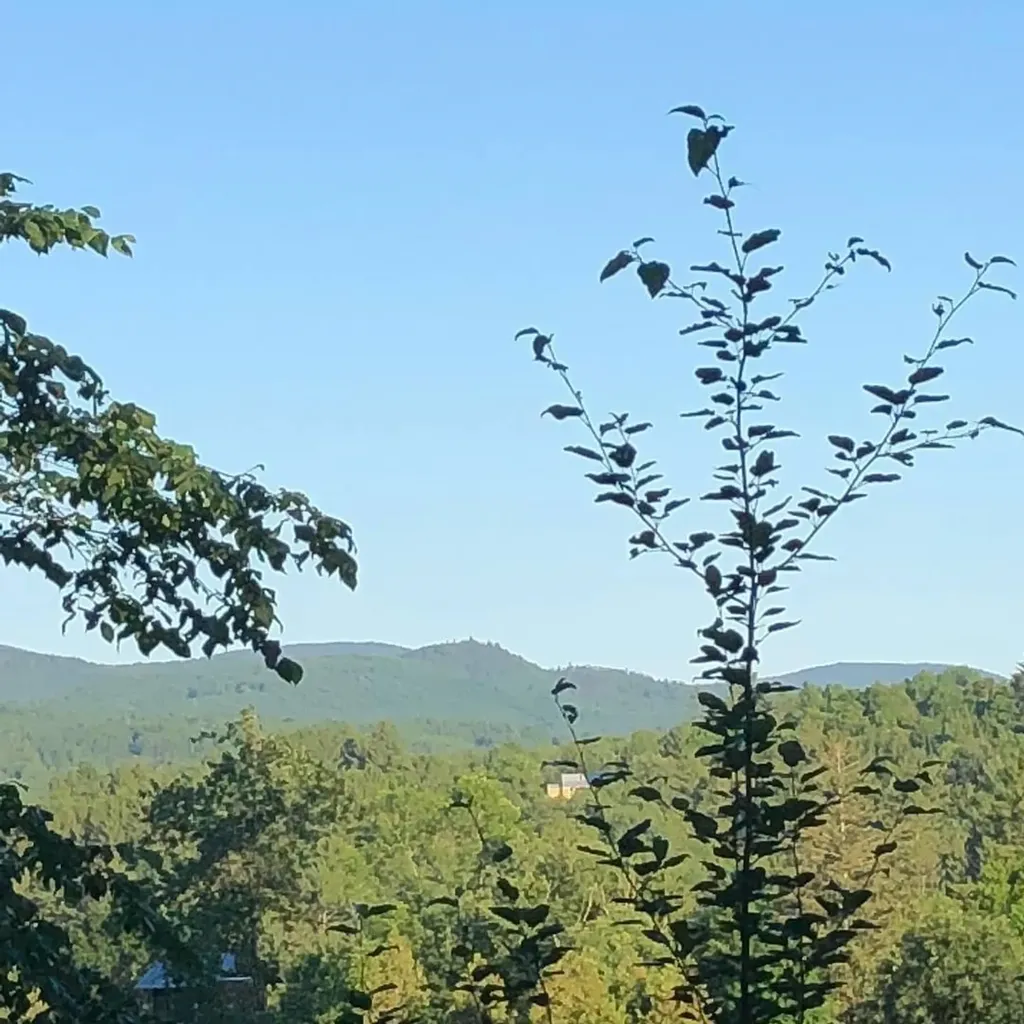 114 Vt Route 214 Plainfield VT 05667