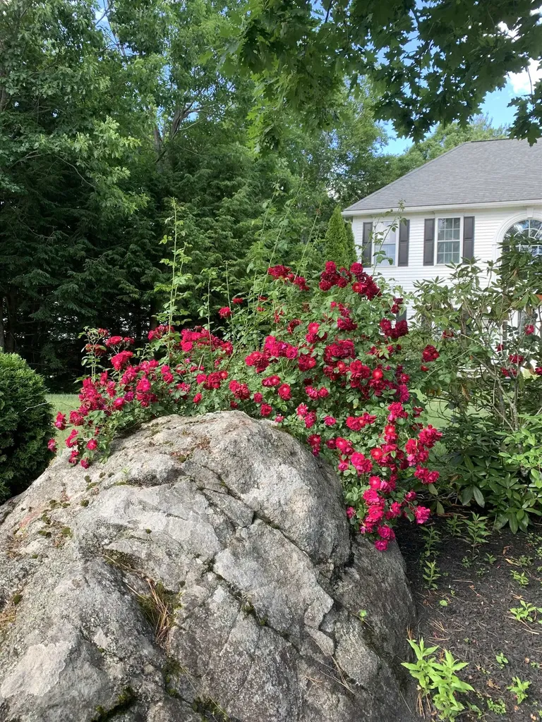 15 Farrwood Drive Hooksett NH 03106