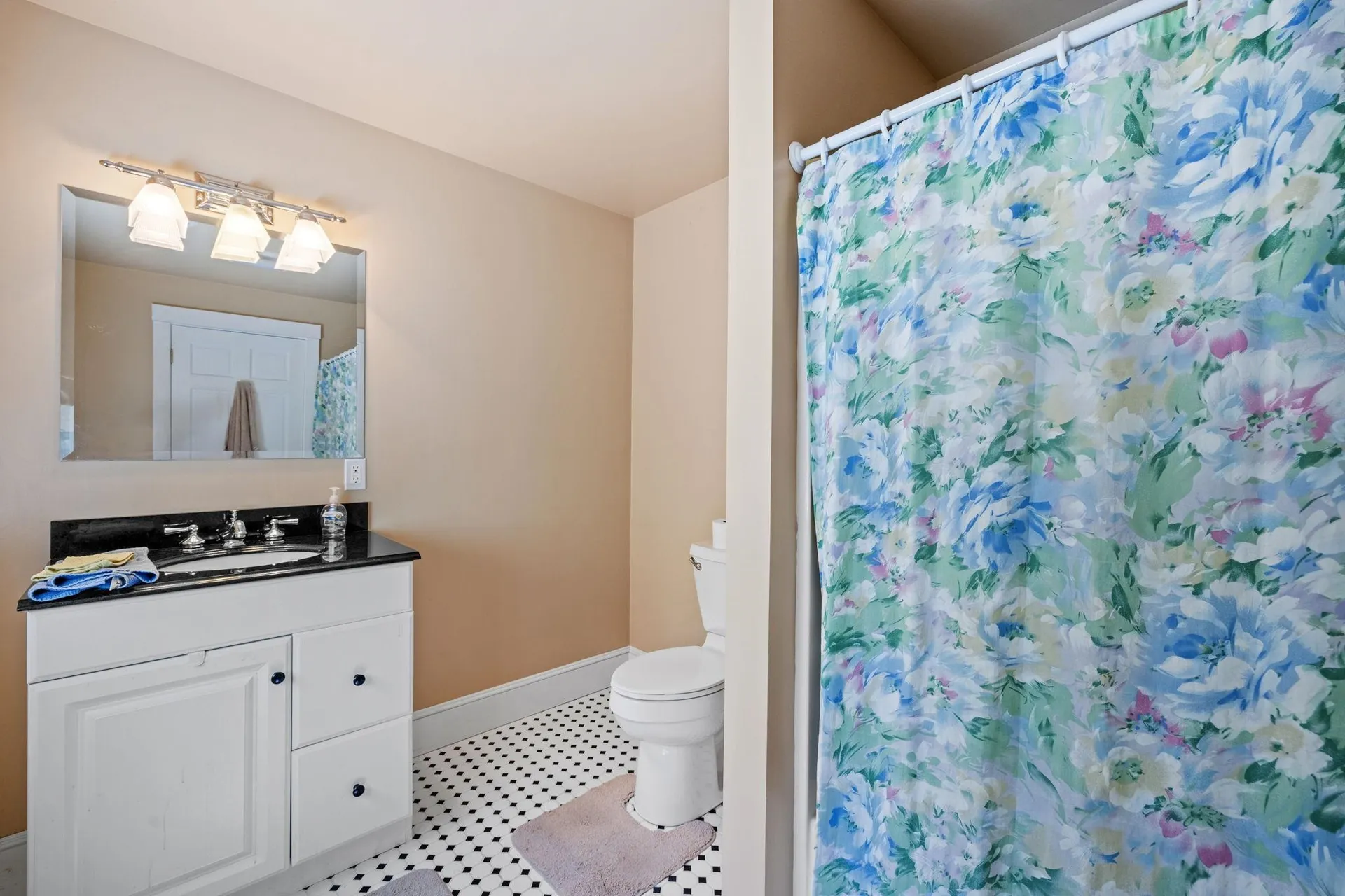 25 Red Gate Lane Meredith NH 03253