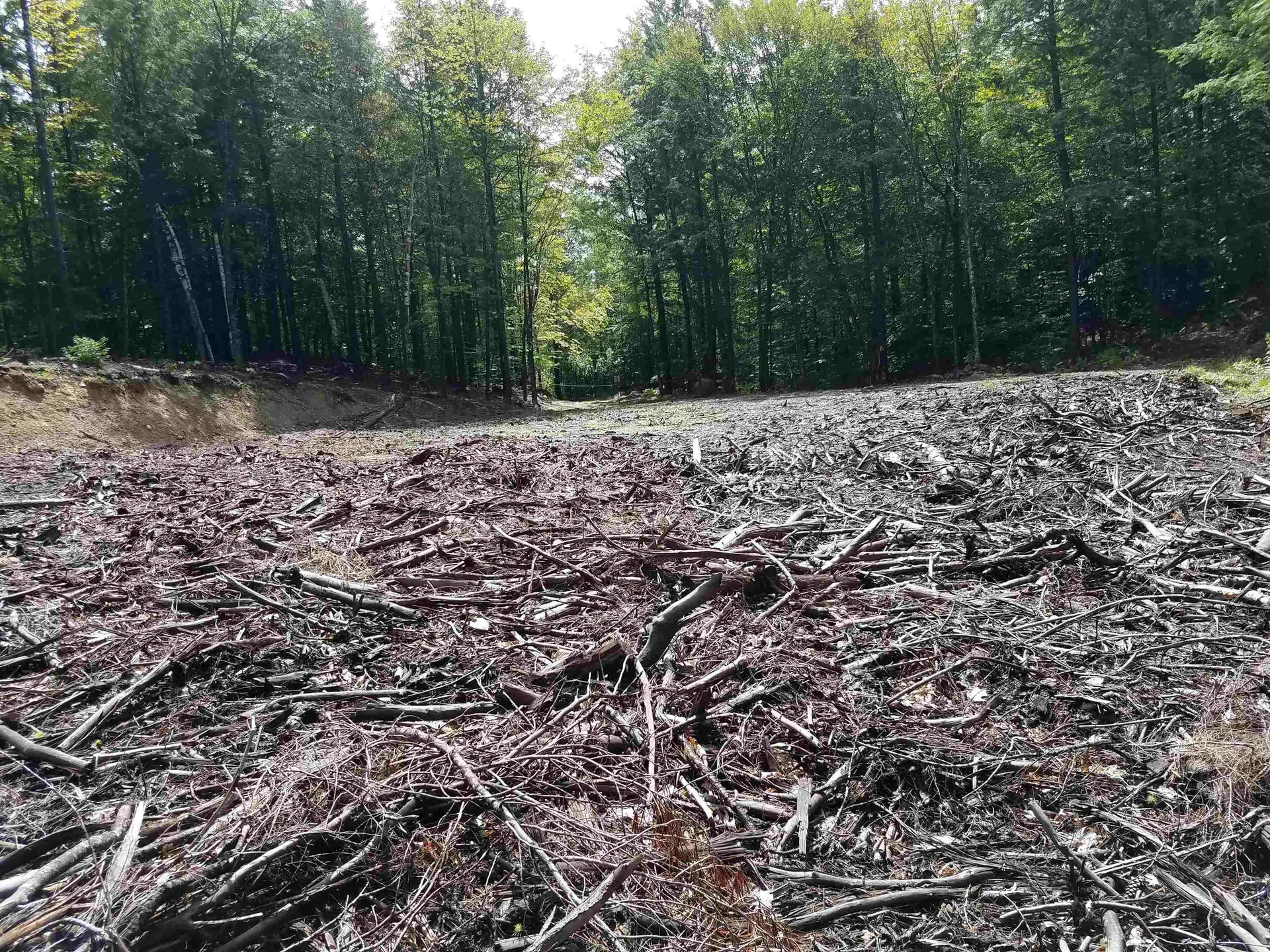 16-65-67 Bagley Hill Road Warner NH 03278