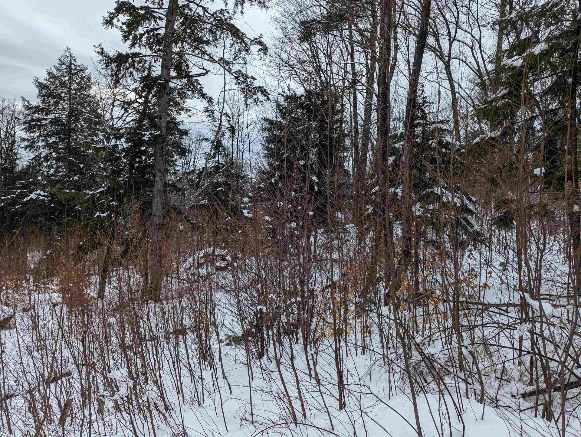16-65-67 Bagley Hill Road Warner NH 03278
