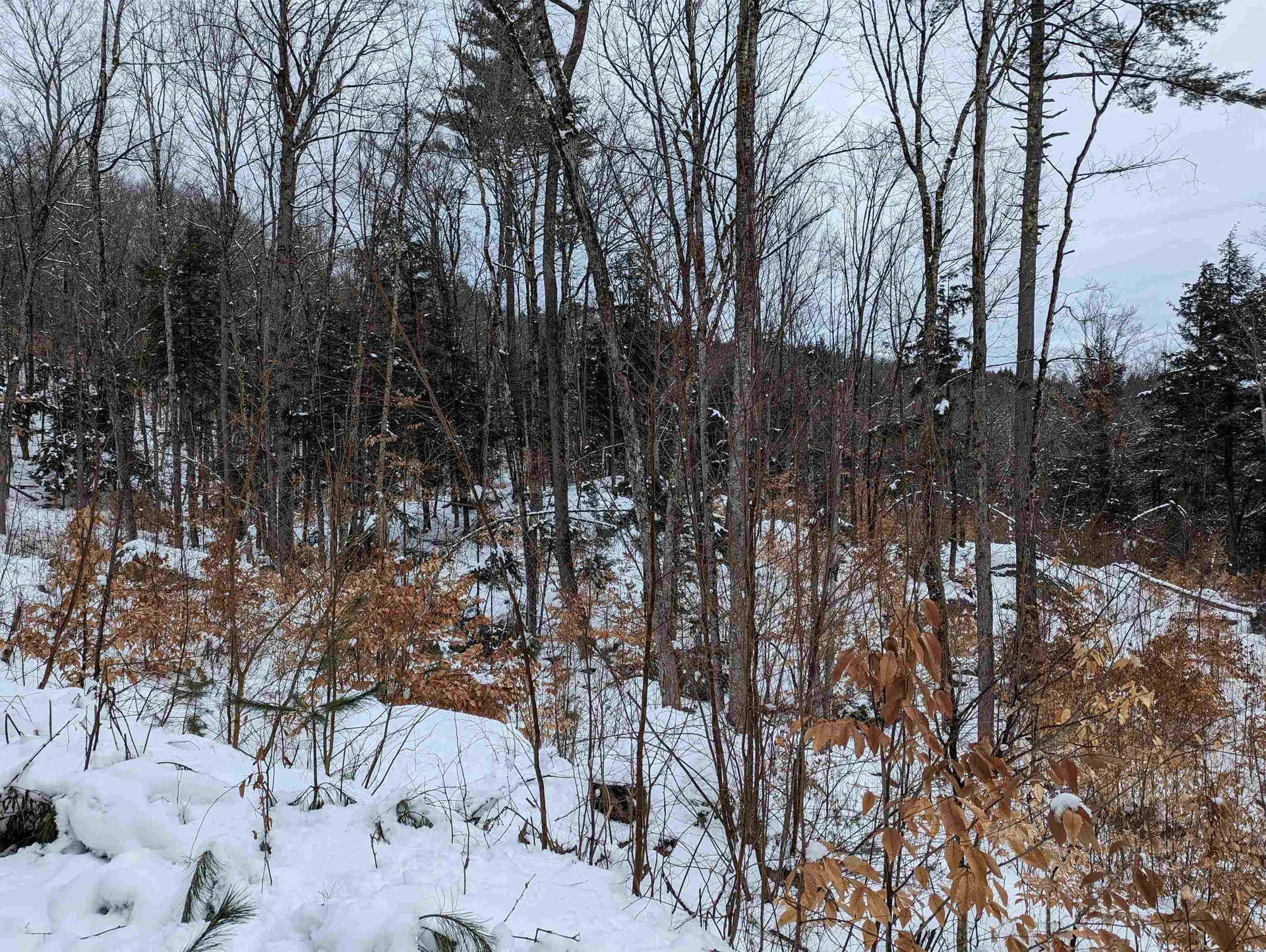 16-65-67 Bagley Hill Road Warner NH 03278