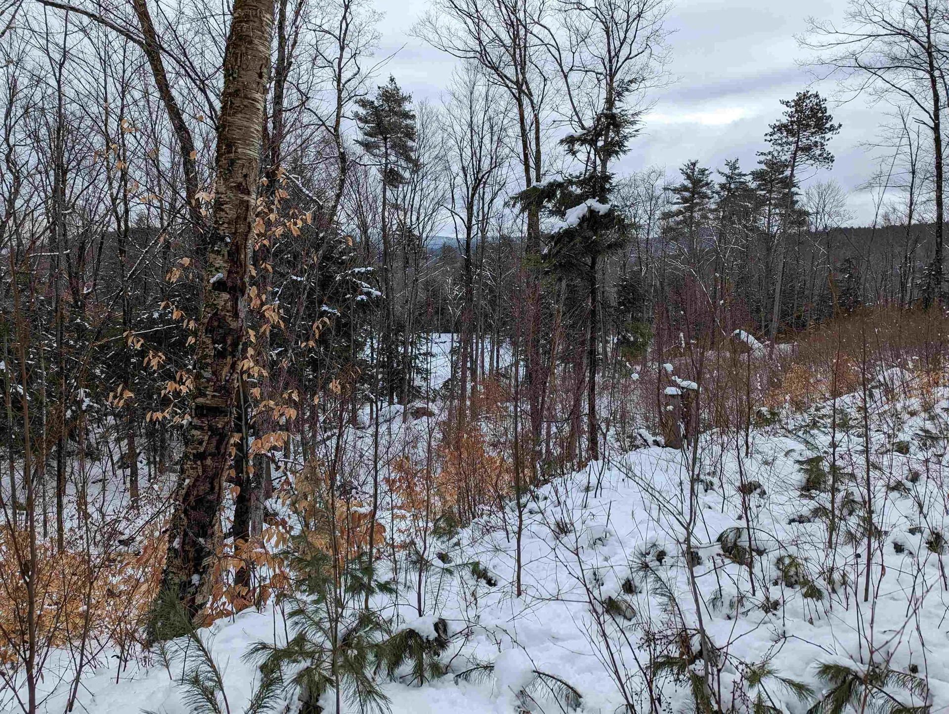 16-65-67 Bagley Hill Road Warner NH 03278