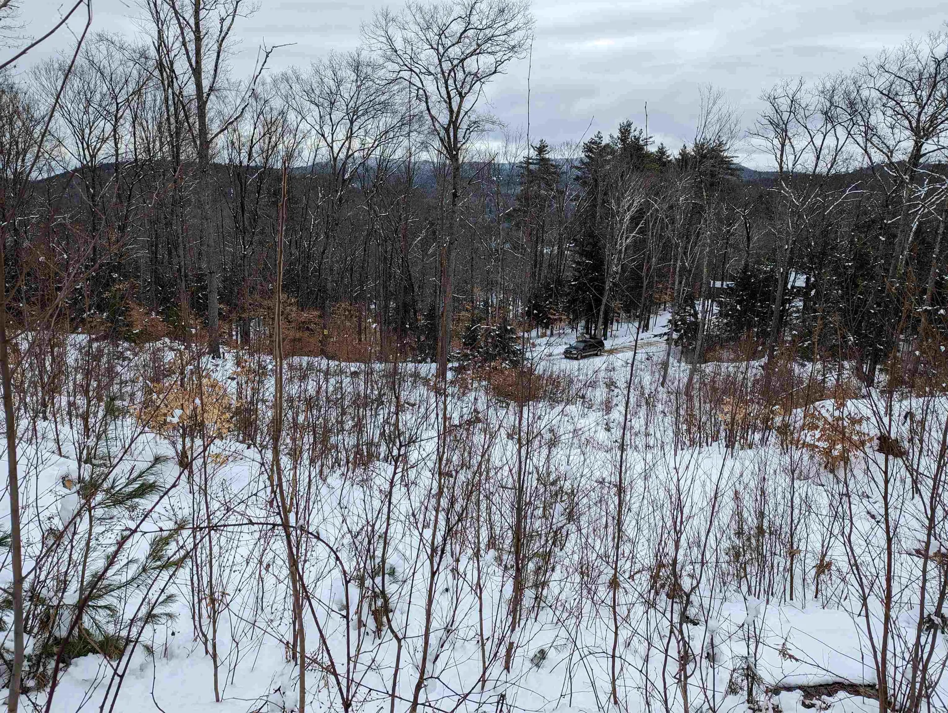 16-65-67 Bagley Hill Road Warner NH 03278
