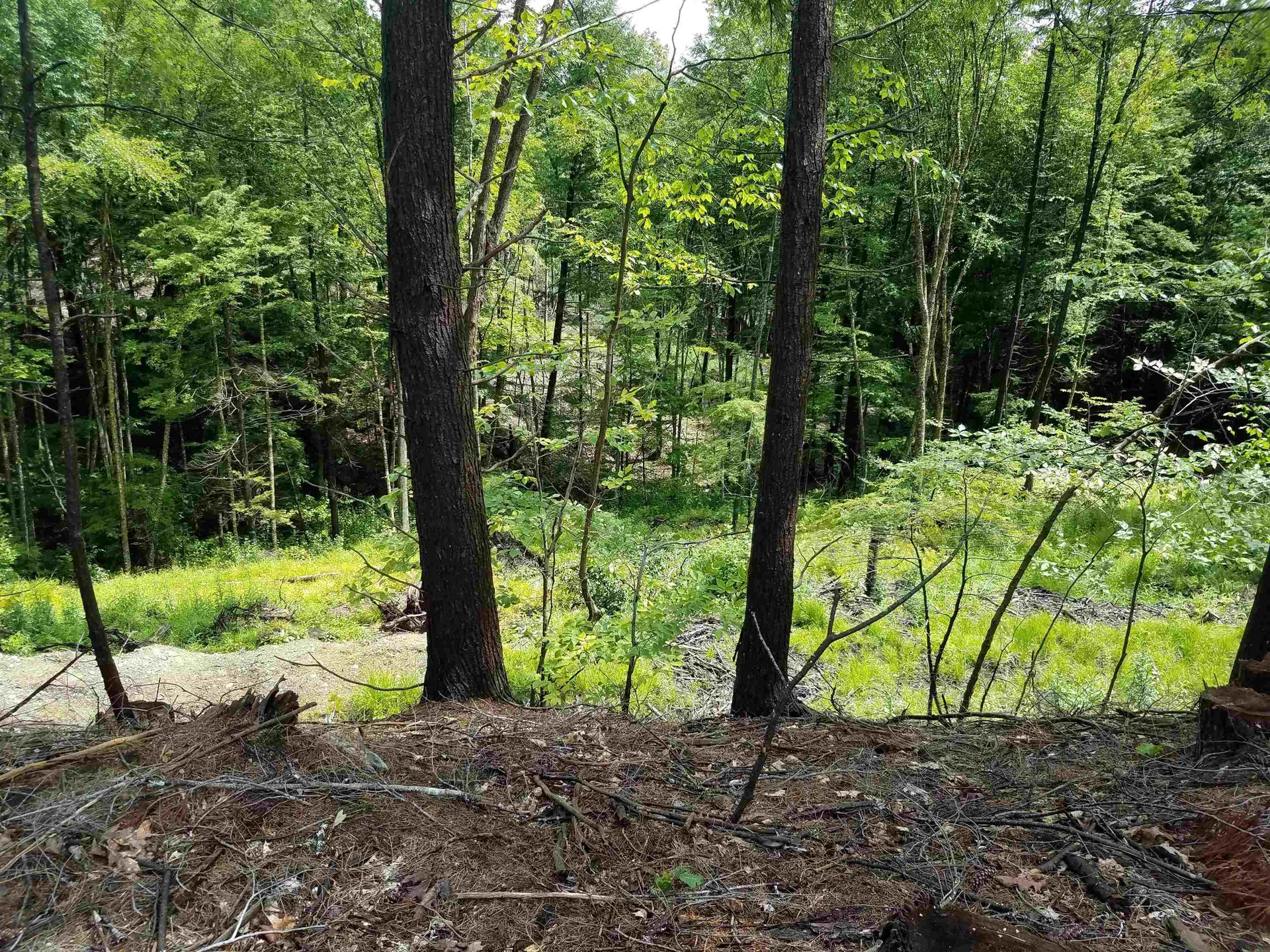 16-65-67 Bagley Hill Road Warner NH 03278