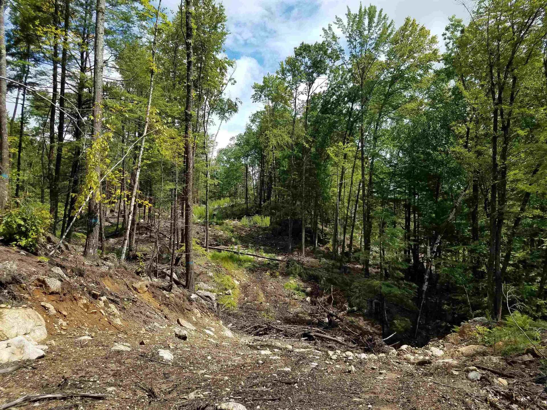 16-65-67 Bagley Hill Road Warner NH 03278