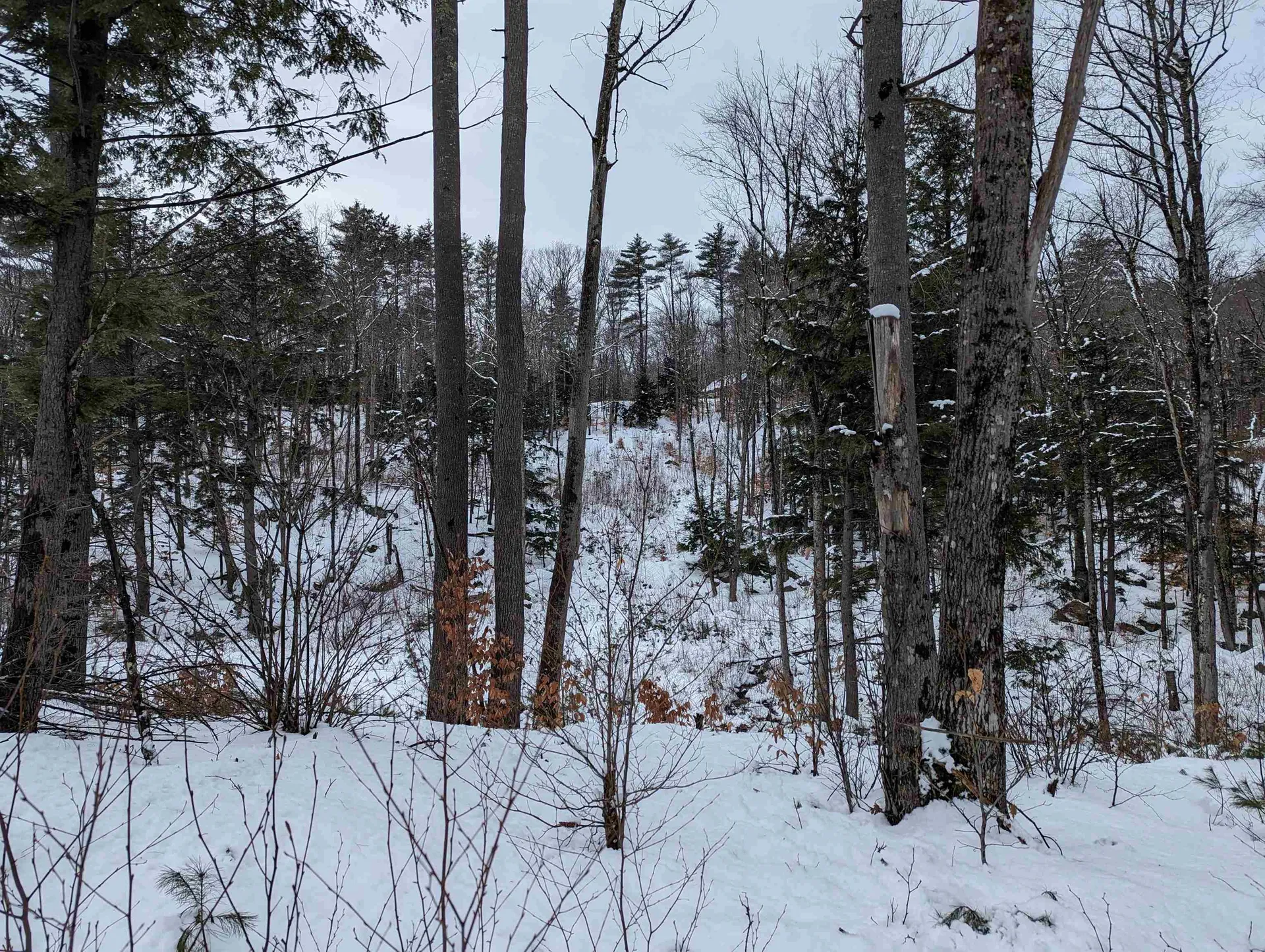 16-65-67 Bagley Hill Road Warner NH 03278