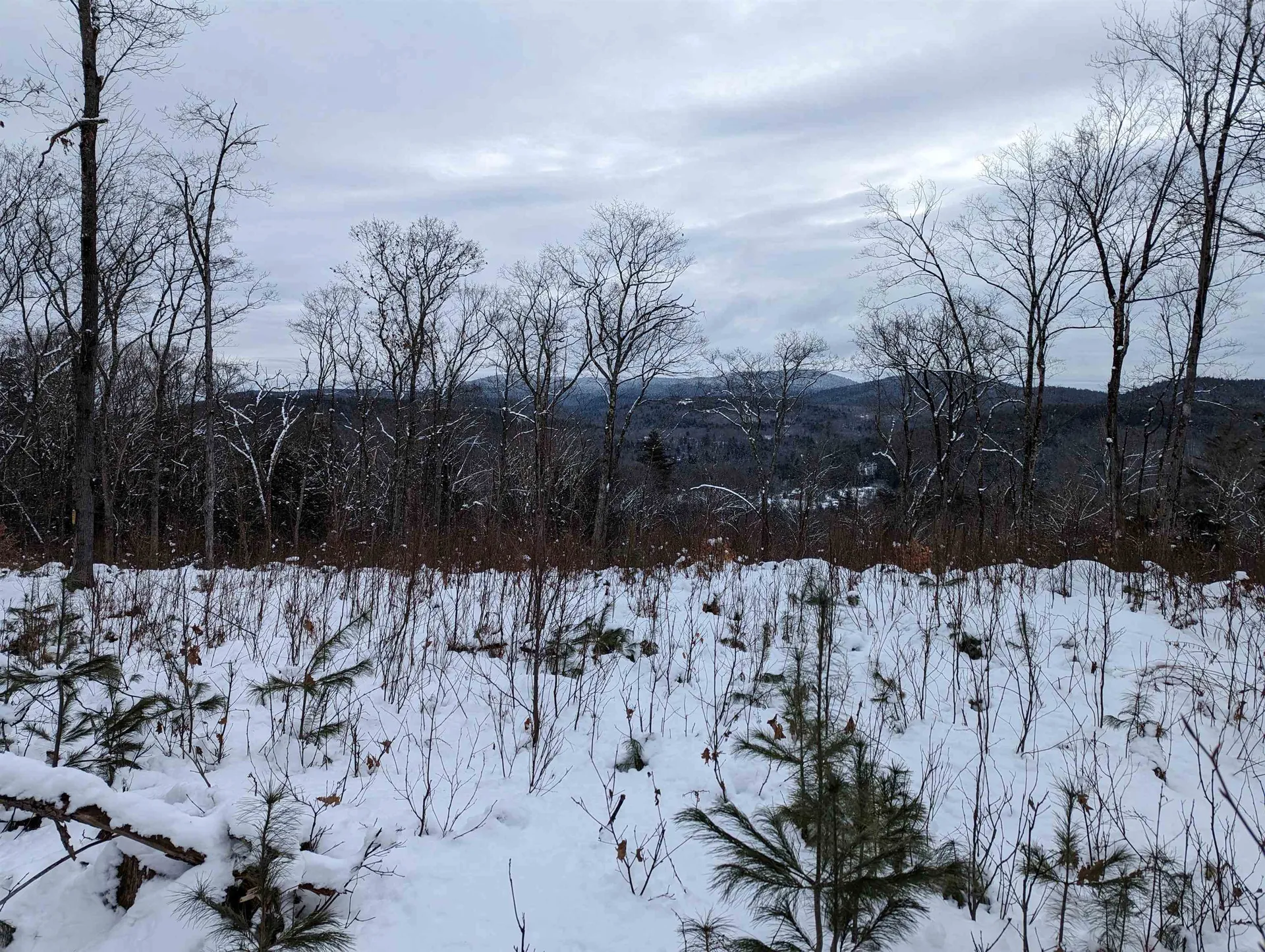 16-65-67 Bagley Hill Road Warner NH 03278
