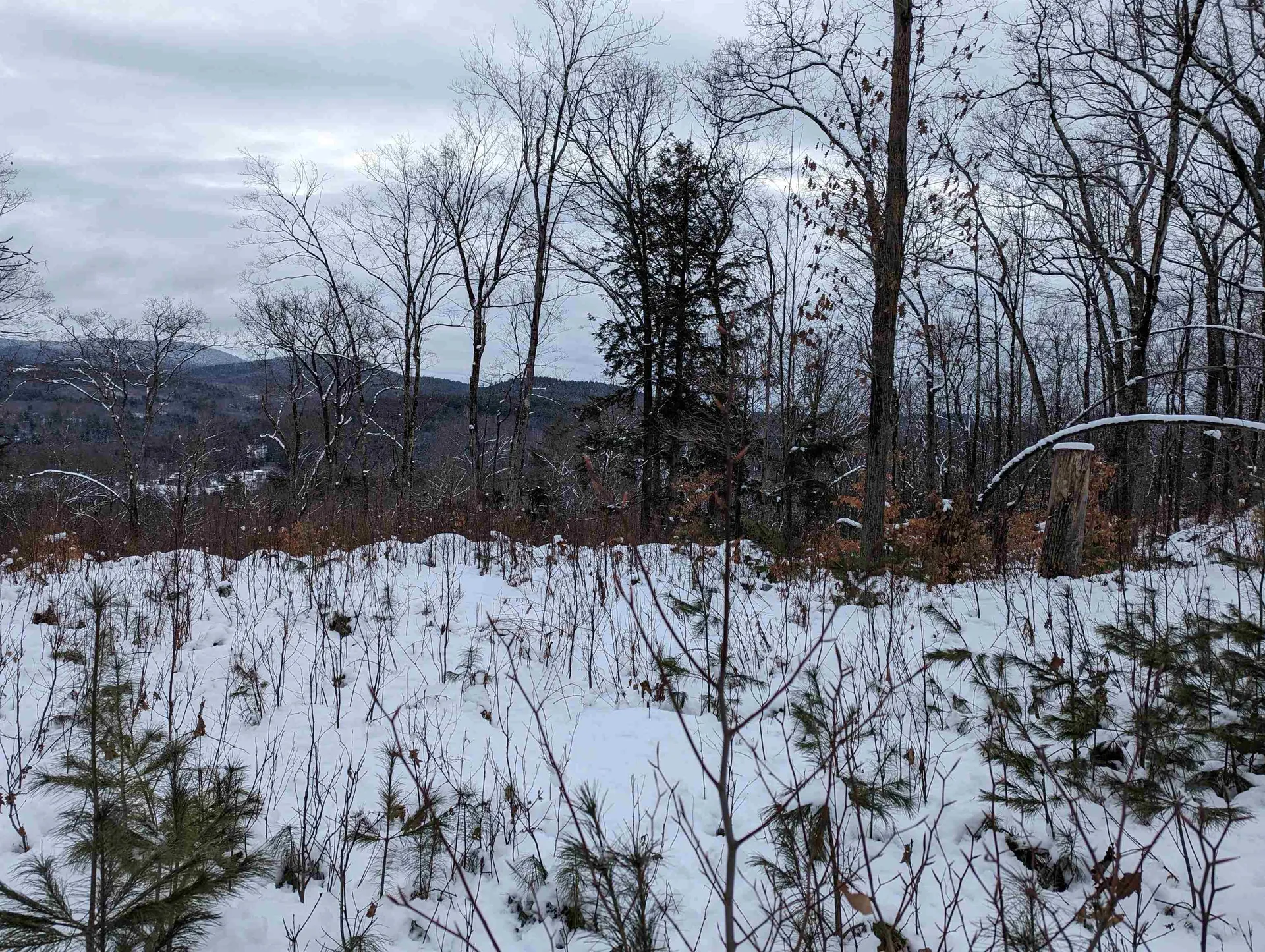 16-65-67 Bagley Hill Road Warner NH 03278