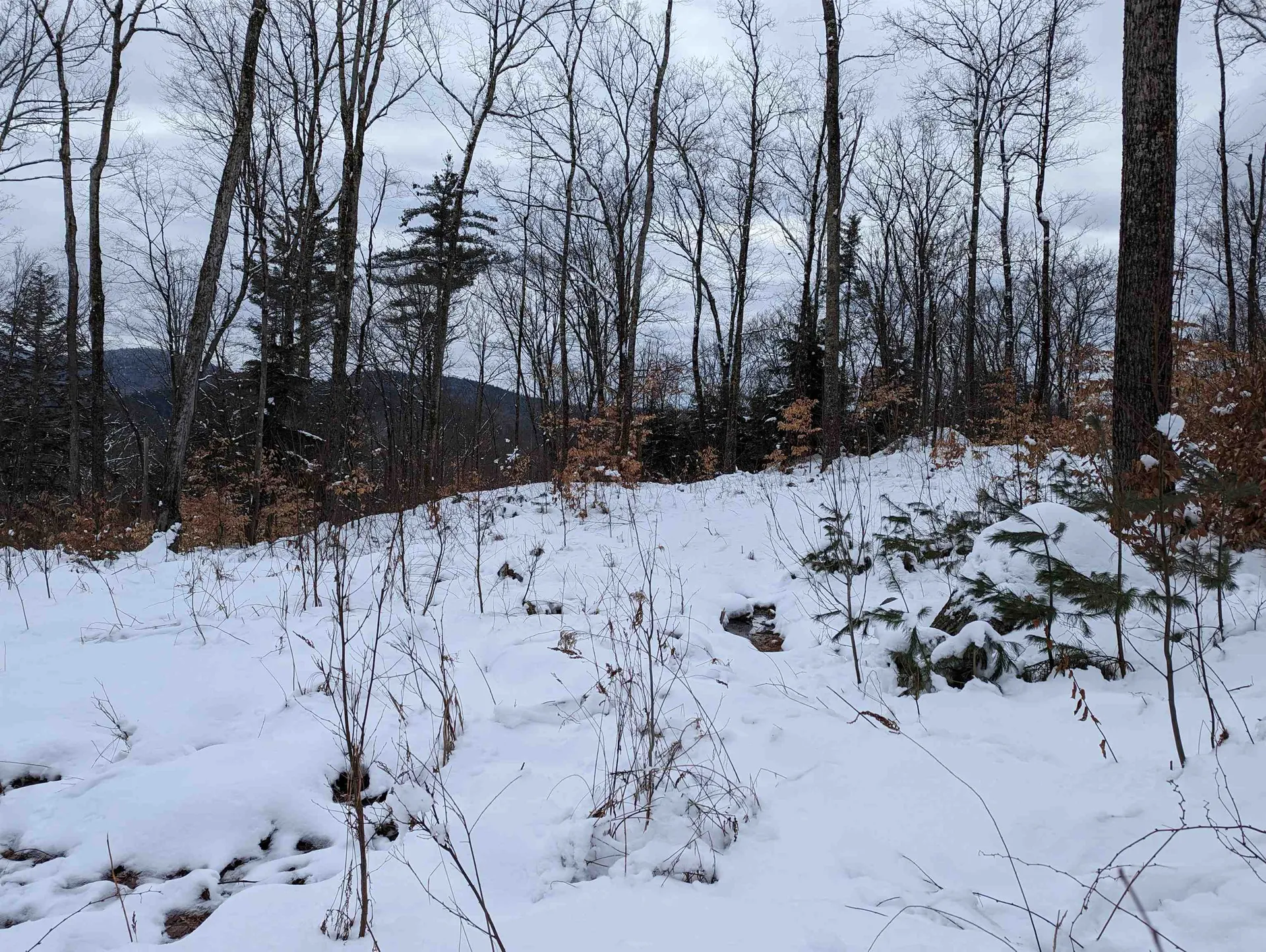 16-65-67 Bagley Hill Road Warner NH 03278