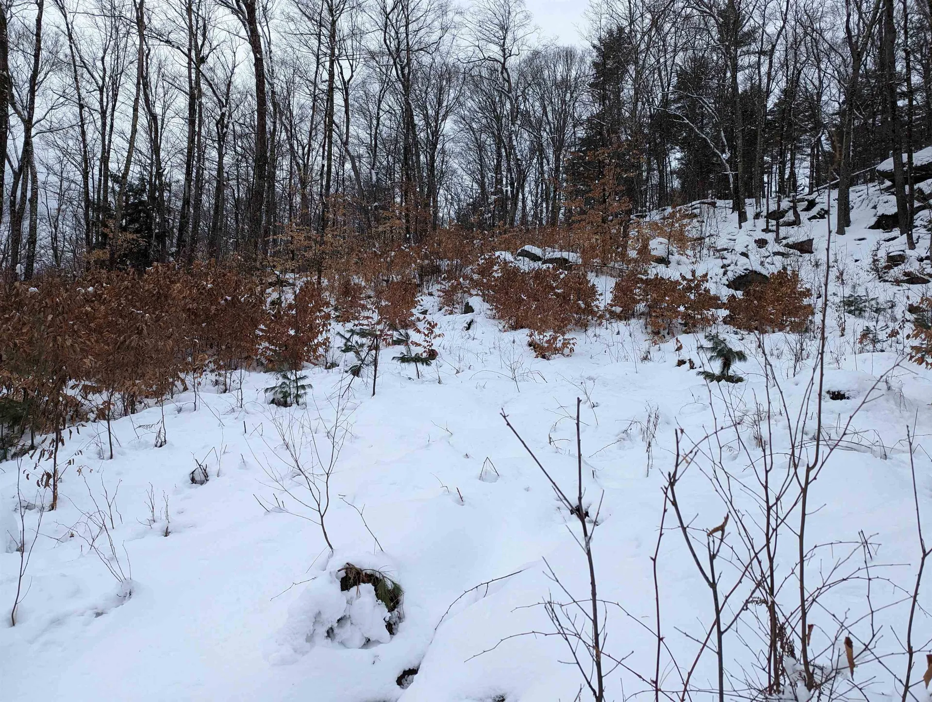 16-65-67 Bagley Hill Road Warner NH 03278