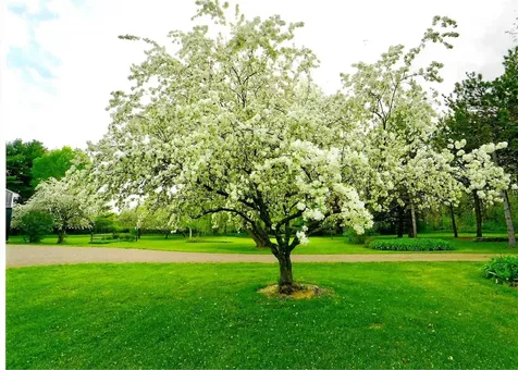 418 Barstow Road Shelburne VT 05482-6989